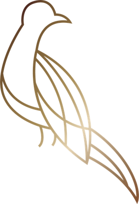 Bird illustration drawn by Dr. Ennis