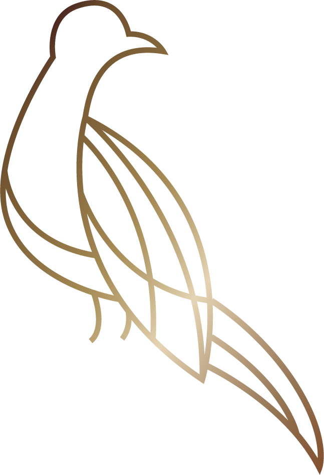 Bird illustration inspired by Dr. Ennis’s original drawing